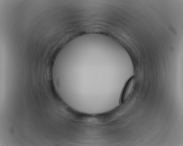 X0000115550224200911061133