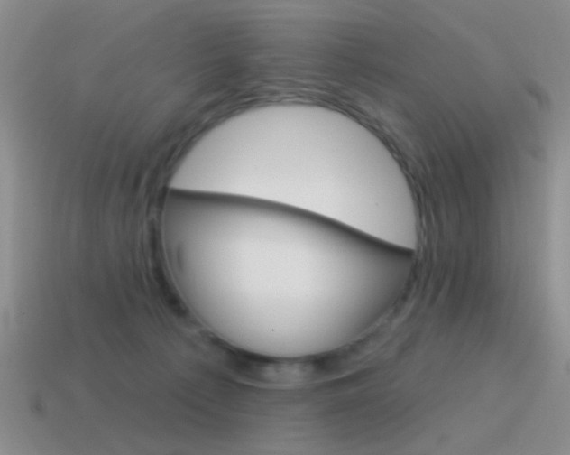 X0000115550225200911061133