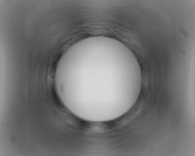 X0000115550226200911061133