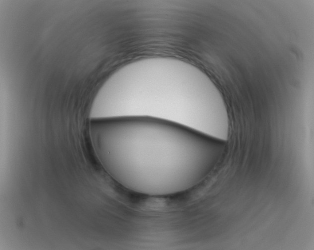 X0000115550227200911061133