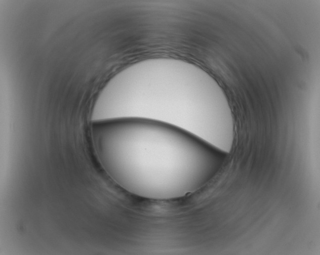 X0000115550229200911061133