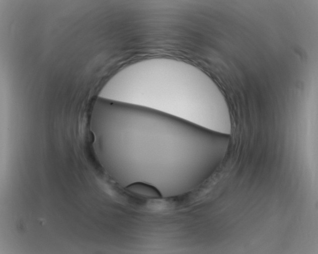 X0000115550231200911061133