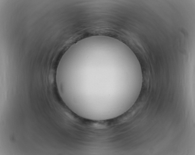 X0000115550232200911061133