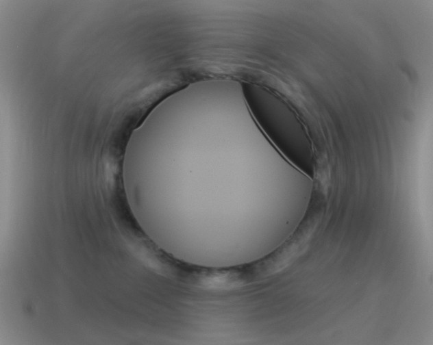 X0000115550235200911061133
