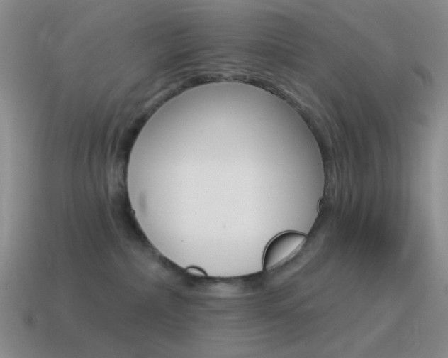 X0000115550236200911061133