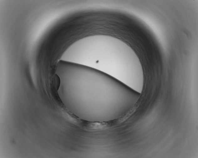 X0000115550239200911061133