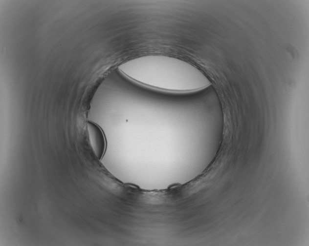 X0000115550240200911061133