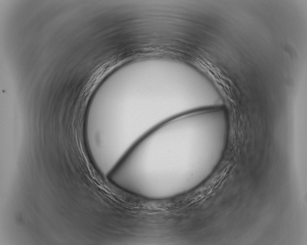 X0000115550241200911061132