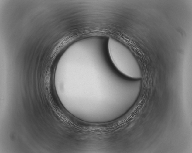 X0000115550242200911061132