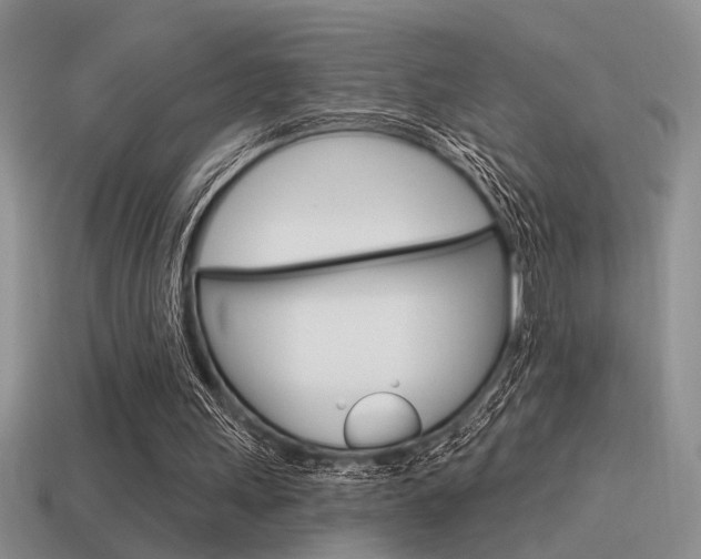 X0000115550243200911061132