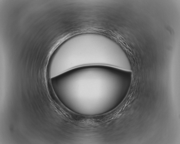 X0000115550244200911061132