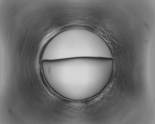 X0000115550245200911061132