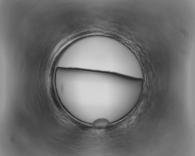 X0000115550247200911061132