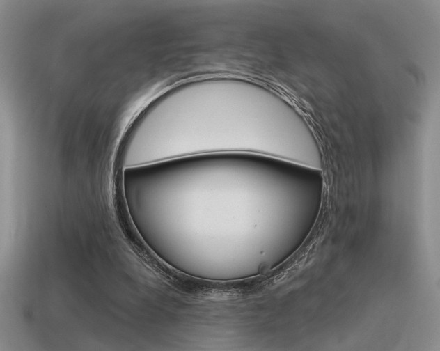 X0000115550248200911061132