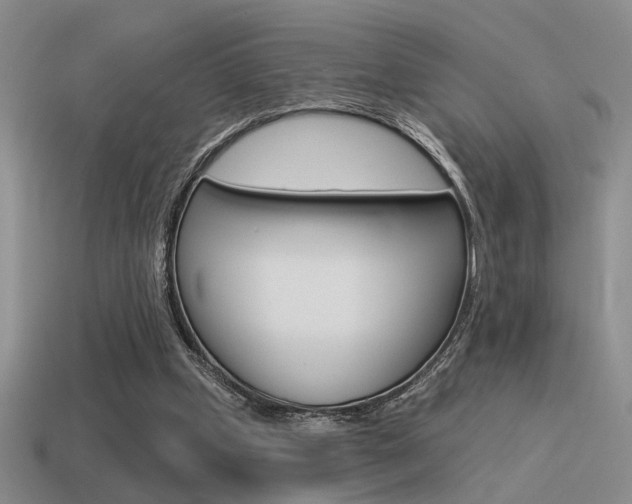 X0000115550249200911061132
