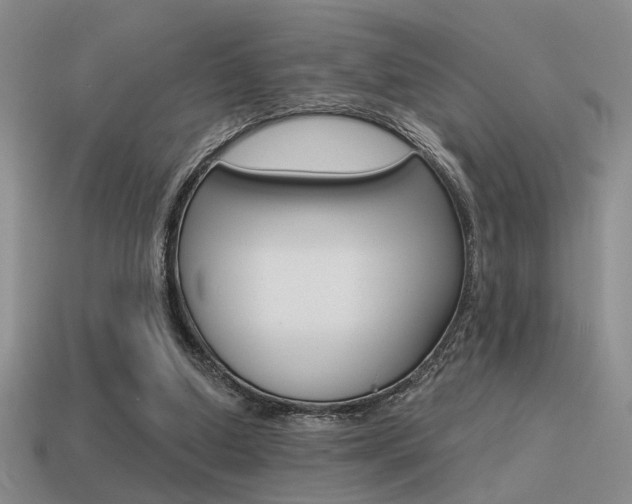 X0000115550250200911061132