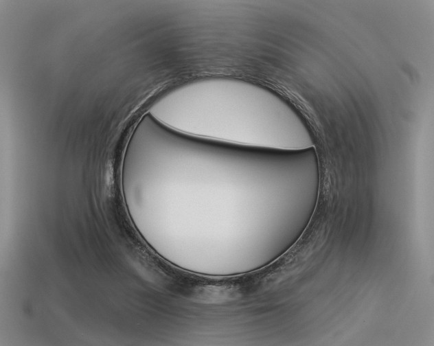 X0000115550251200911061132