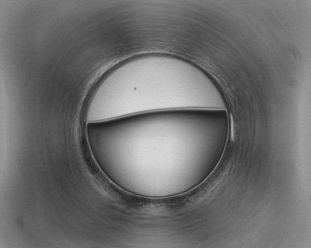 X0000115550252200911061133