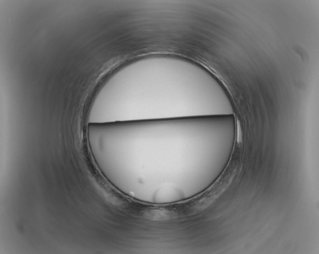 X0000115550253200911061133