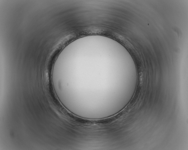 X0000115550254200911061133