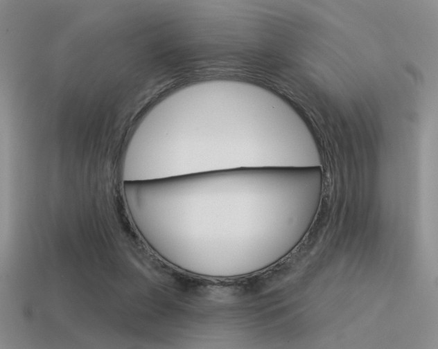 X0000115550255200911061133