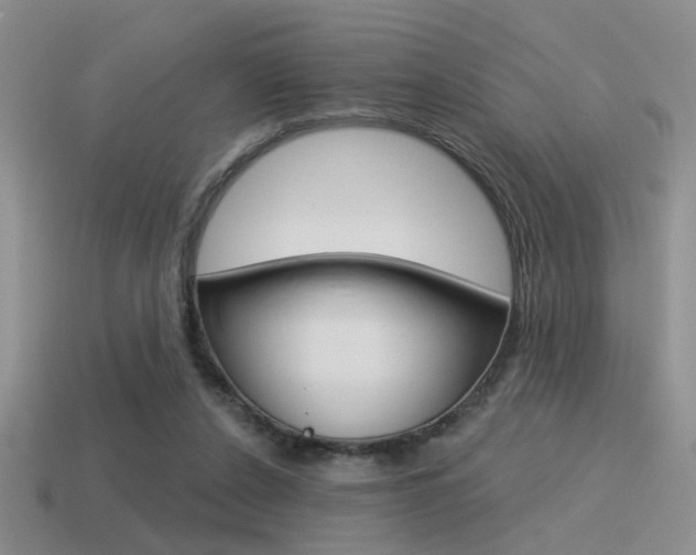 X0000115550256200911061133