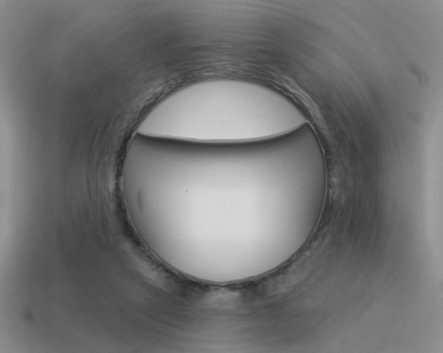 X0000115550257200911061133