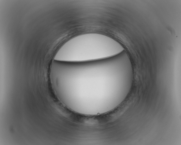 X0000115550258200911061133