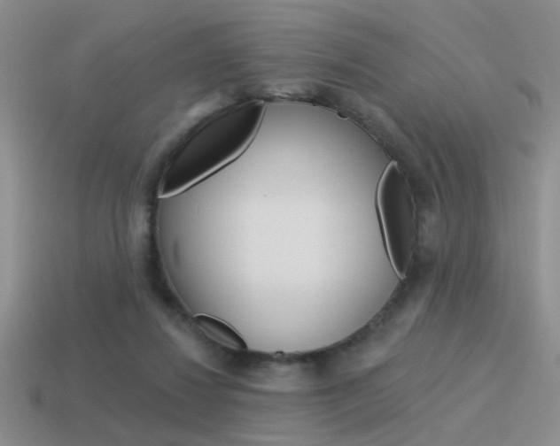 X0000115550260200911061133