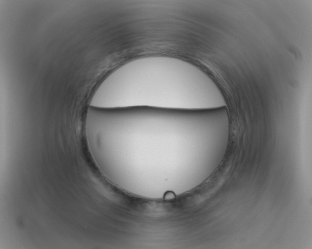 X0000115550261200911061133