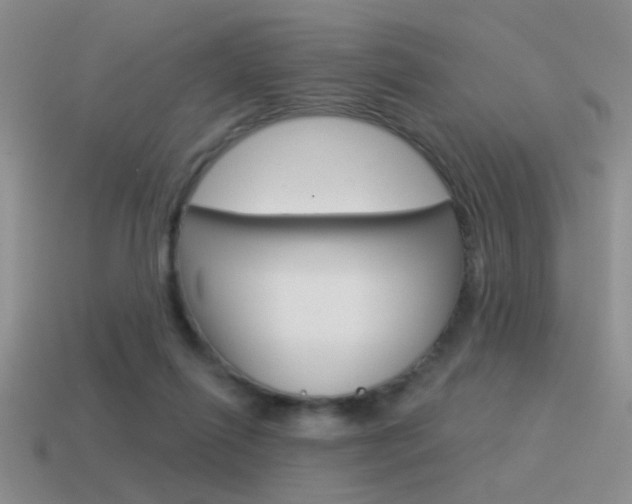X0000115550262200911061133