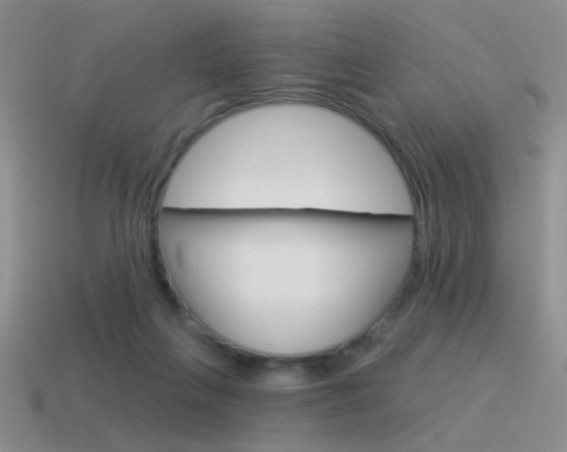 X0000115550263200911061133