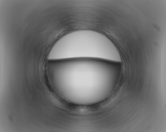 X0000115550264200911061133