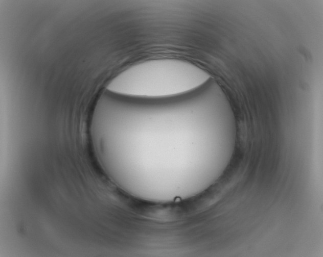 X0000115550267200911061133