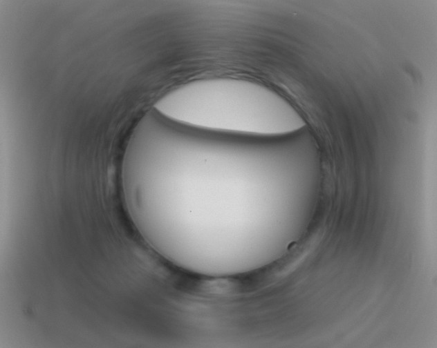 X0000115550269200911061133