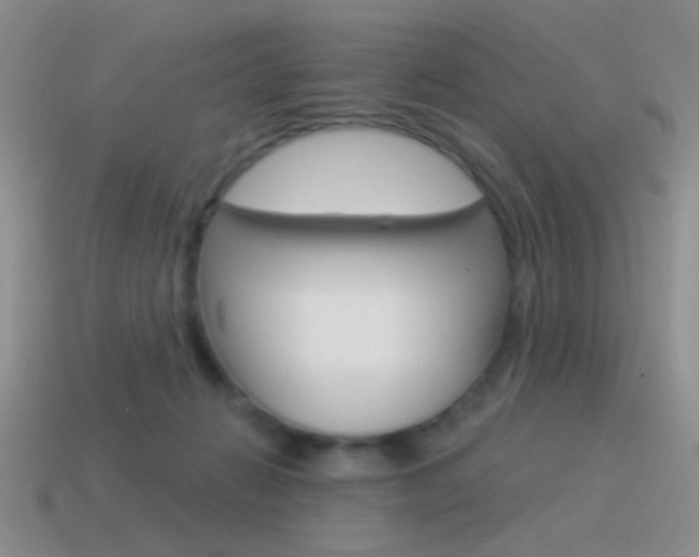 X0000115550270200911061133