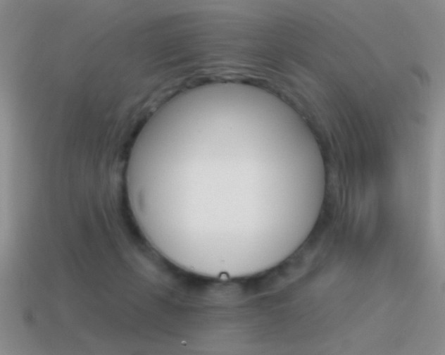 X0000115550271200911061133