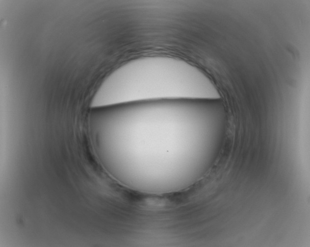 X0000115550272200911061133