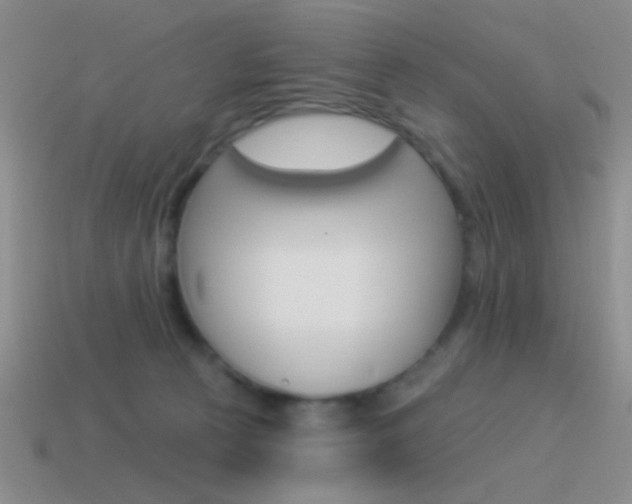 X0000115550273200911061133