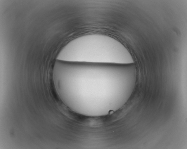 X0000115550275200911061133