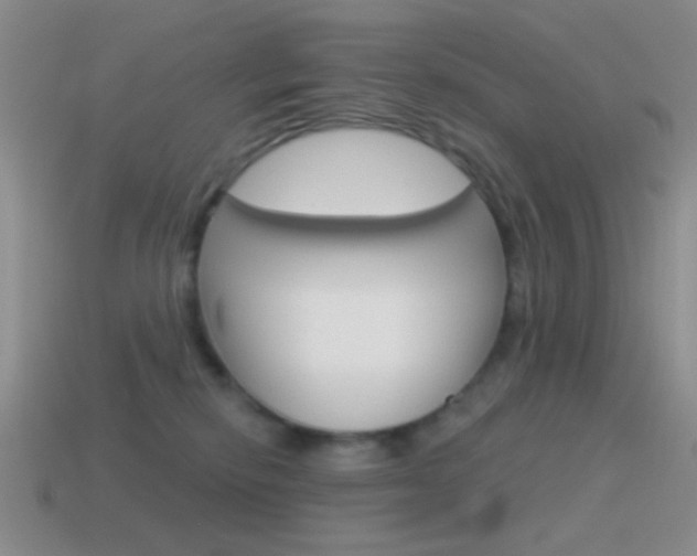 X0000115550278200911061133