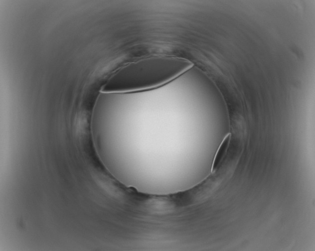 X0000115550280200911061133