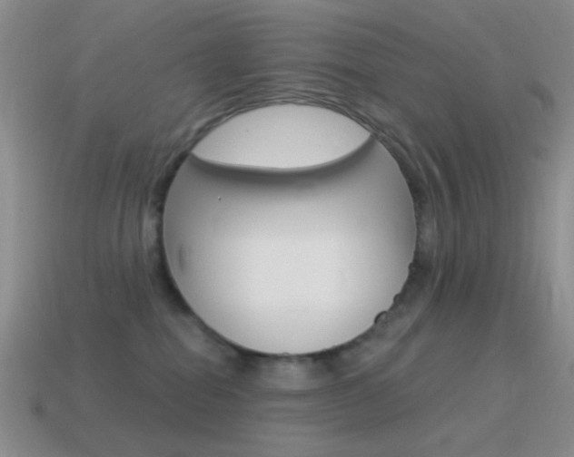 X0000115550282200911061133