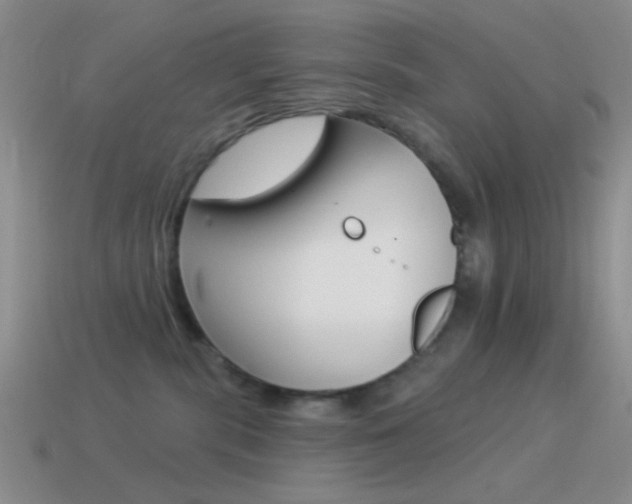 X0000115550283200911061133