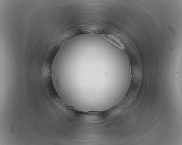 X0000115550284200911061133