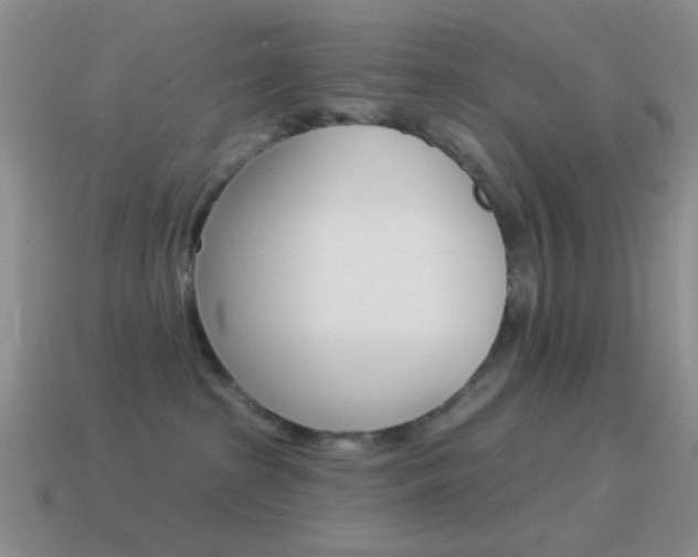 X0000115550285200911061133