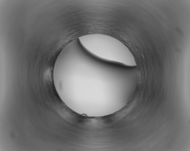 X0000115550286200911061133