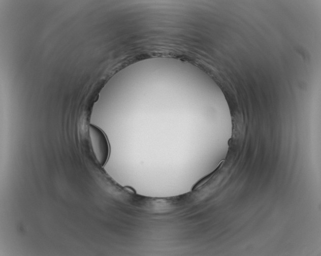 X0000115550287200911061133