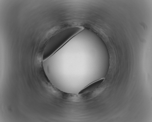 X0000115550288200911061133