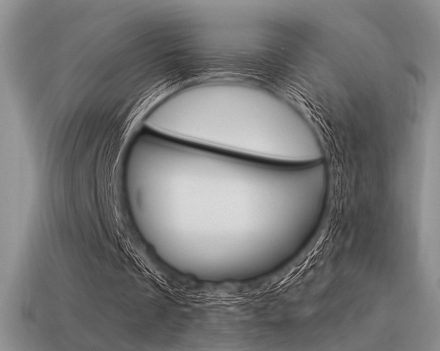 X0000115550289200911061132